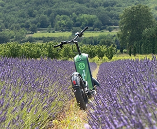 Champs de lavande Provence : balade en trottinette électrique, territoire du Vaucluse