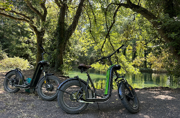 Balades en nature : découvre les merveilles du Vaucluse en trottinette électrique